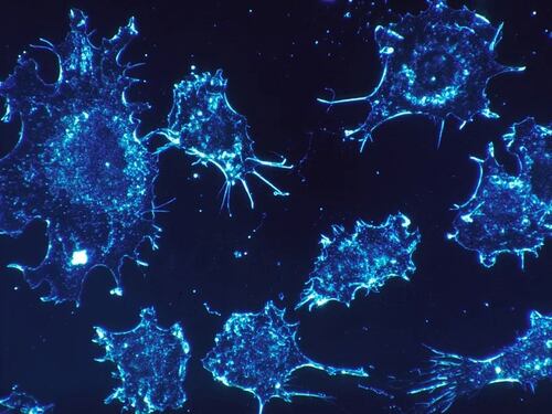 TUMORI, NUOVE SPERANZE DALLE TERAPIE AGNOSTICHE