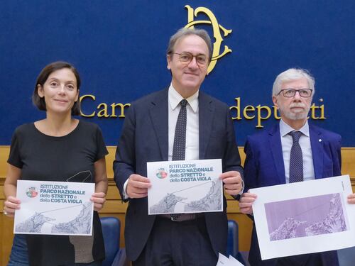 Ponte sullo Stretto, folle idea green della sinistra per fermare il progetto