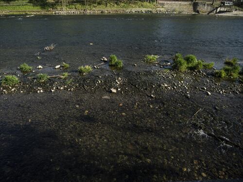 La crisi del fiume Po è grave come non mai: criticità a lungo termine e moria di pesci e piante