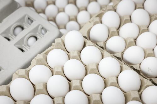 Usa, crisi delle uova e prezzi alle stelle. Richiesta d’aiuto all’Europa