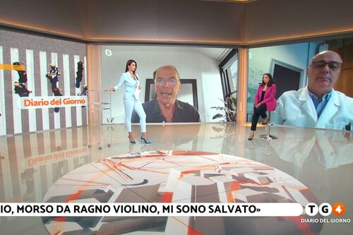 Ragno violino, "così mi sono salvato": cosa fare per evitare che il morso diventi letale