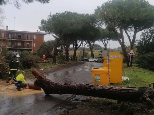 Tromba d'aria a Cerveteri: alberi caduti e danni alle auto