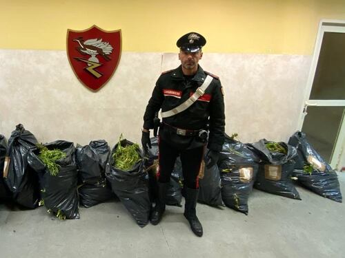 Due nomadi fuggono al posto di blocco: in auto un quintale di marijuana