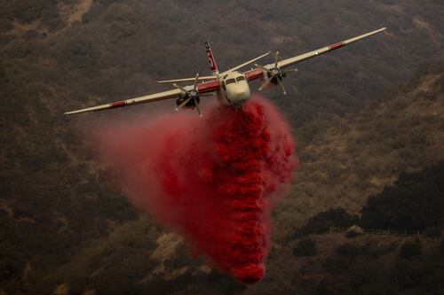Incendi a Los Angeles, Zelensky offre i pompieri ucraini: 150 pronti a partire