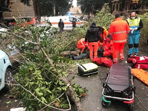 Albero si abbatte al Flaminio. Ferito alla testa un uomo di 61 anni