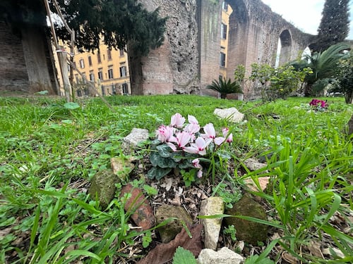 Porta Maggiore si sgretola. Cittadini raccolgono i pezzi e creano aiuole