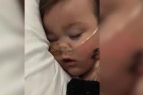 Il piccolo Alfie è morto. I genitori su Facebook: "Il nostro gladiatore ha spiccato il volo"
