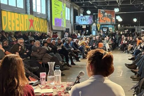 Ilaria Salis, ci mancava il manifesto politico: "Reddito per tutti"