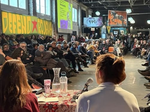 Ilaria Salis, ci mancava il manifesto politico: "Reddito per tutti"