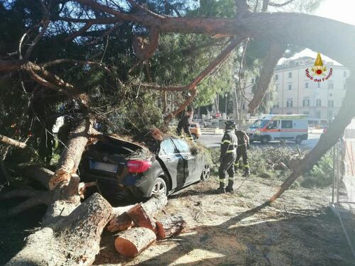 Piazza Venezia, pino crolla su un'auto in transito: una donna ferita