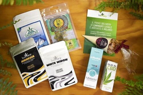 La cannabis legale nel calcio: è sponsor di Samp, Verona e Udinese. E i grillini che dicono?