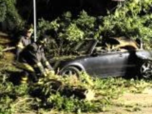 Tagliano gli alberi In tilt la Nomentana