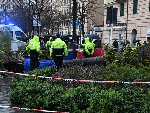 Genova, crolla una palma e travolge una donna di 58 anni