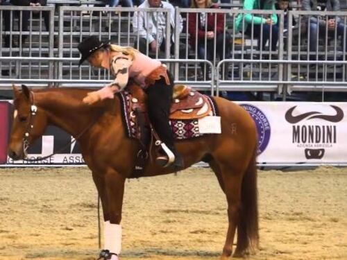 Cavalli a Roma punta i riflettori sul meglio delle razze equine