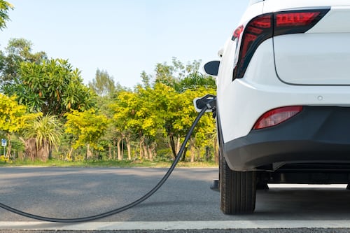 Auto elettriche, il diktat dell'assessore getta la città nel caos