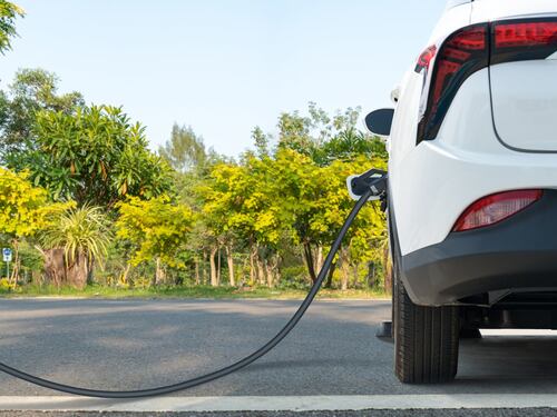 Auto elettriche, il diktat dell'assessore getta la città nel caos