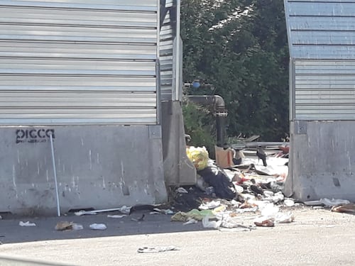Roma, viale Marconi vittima di rom e immondizia