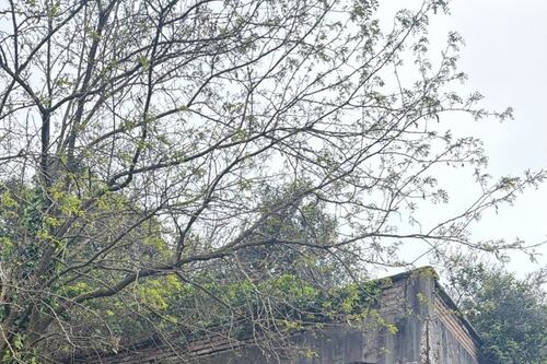 Viaggio nell'ex fabbrica chiusa dal '54, tra cemento marcio ed eternit