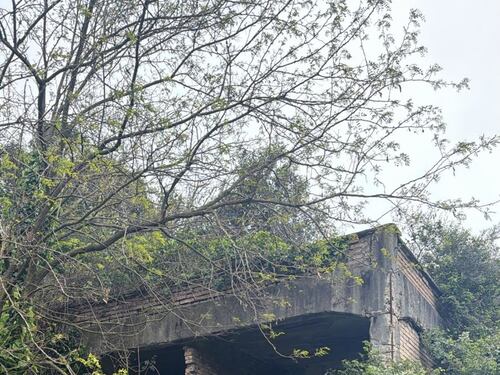 Viaggio nell'ex fabbrica chiusa dal '54, tra cemento marcio ed eternit