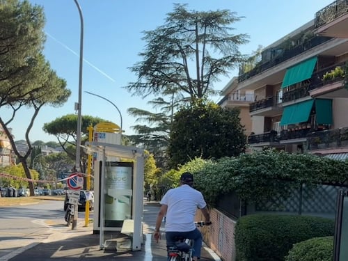 Gualtieri sogna la "bicipolitana" e dimentica i pasticci passati