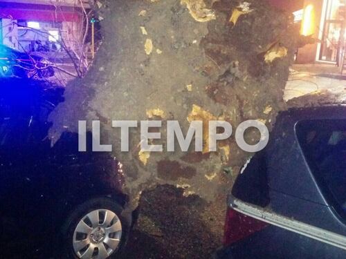 Roma, albero precipita sulle auto: tragedia sfiorata a largo Forano