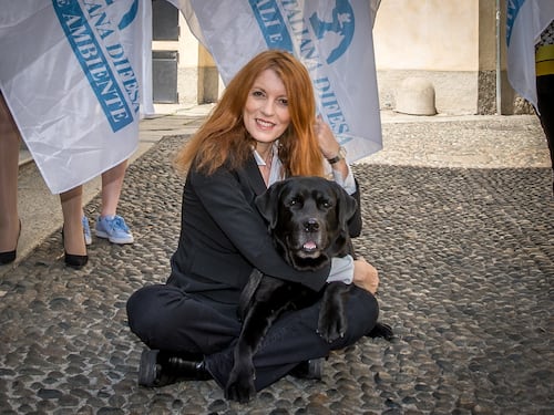 Proposta di legge della Brambilla per migliorare la vita degli animali nei canili