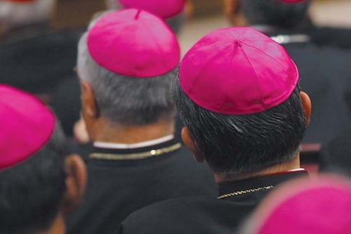 Papa, barricate pro-Francesco dopo il caos dimissioni: i fedeli smorzano le polemiche