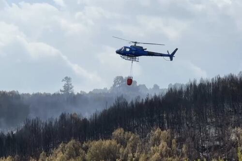 Peschici, il maxi-incendio sul Gargano è doloso: 150 ettari bruciati e fiamme ancora non spente