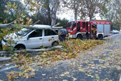Roma, albero crolla sulle auto in corsa sulla via del Mare