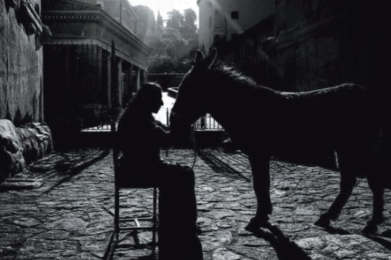 Abramovic porta a Roma l’asino d’oro, Raffaele Curi racconta le metamorfosi