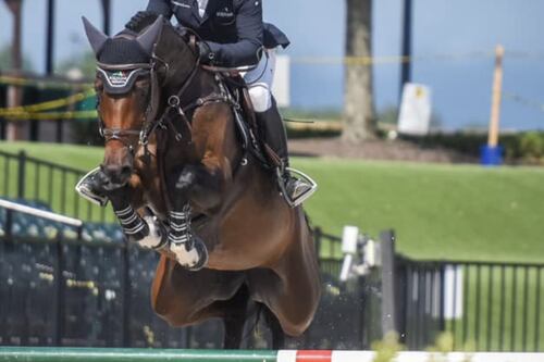 Tokyo 2020, scoppia il caso equitazione: il nome del cavallo israeliano è uno "sfregio all'Italia"