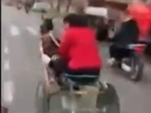 Corsa clandestina di cavalli in strada a Palermo, il video che fa infuriare Giorgia Meloni