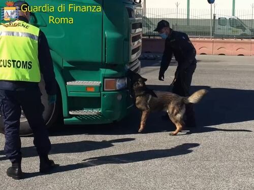 Grazie al fiuto del pastore tedesco Denim trovati 143 chili di marijuana in un tir
