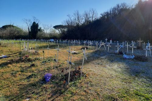 La rabbia delle famiglie: "La Raggi ha chiamato solo il deputato. Ci sono morti di serie A e B"