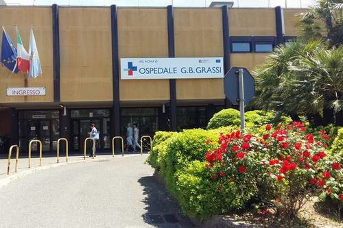 Ostia, sos nello zoo del Grassi: topi, blatte e vespe