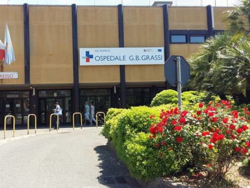 Ostia, sos nello zoo del Grassi: topi, blatte e vespe