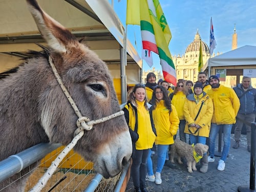 Sant'Antonio, la benedizione degli animali: allevatori e agricoltori di Coldiretti in Vaticano