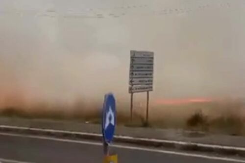 Tor Vergata, maxi-incendio lambisce l'università: paura e facoltà evacuate