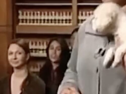 Il processo più rapido della storia. Di chi è il cane? Il giudice non ha dubbi