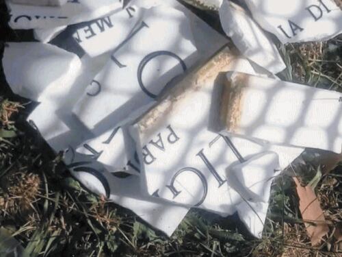 "Allarme fascisti" ma era la Fiom. Cortocircuito clamoroso a sinistra