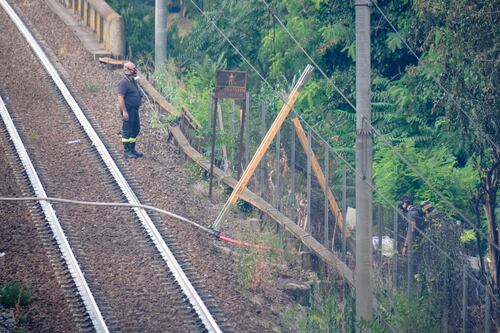 Il treno Roma-Viterbo investe una mucca e deraglia