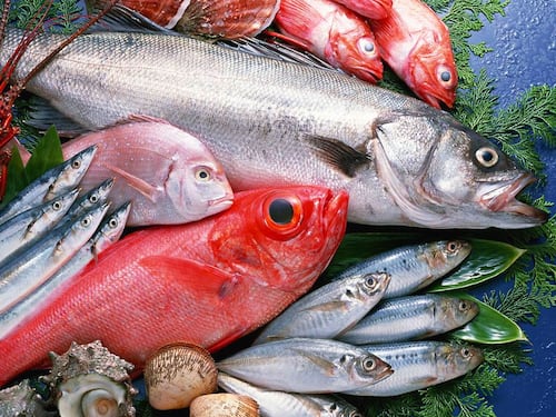 Ecco come cucinare senza danni per la salute