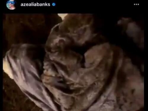 Azealia Banks, video da film horror: riesuma cadavere del gatto e lo cucina