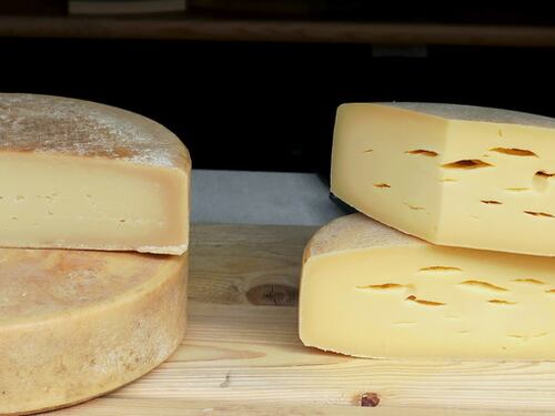 Mangia formaggio e diventa cieco a 4 anni per colpa di un batterio nel latte