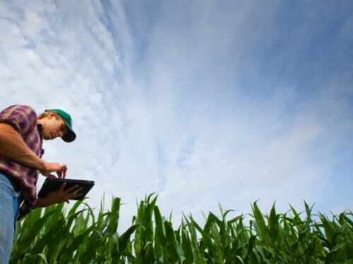 Intelligenza artificiale e blockchain fanno crescere l'agricoltura