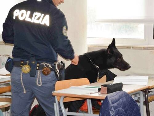 Scuole sicure, in un anno sequestrati oltre 14 chili di droga