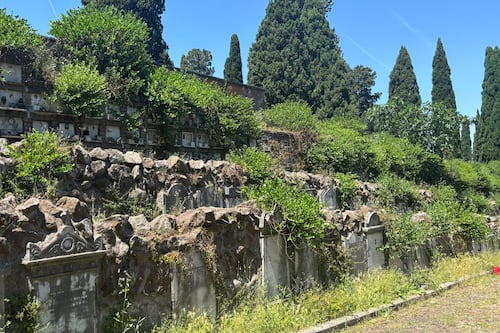 Cimiteri, loculi inghiottiti dal verde e infiltrazioni. I romani: "Nessun rispetto per i morti"
