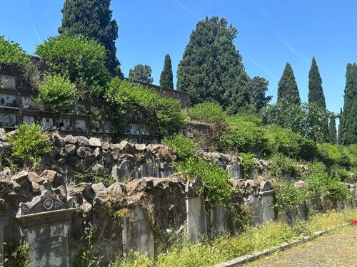 Cimiteri, loculi inghiottiti dal verde e infiltrazioni. I romani: "Nessun rispetto per i morti"