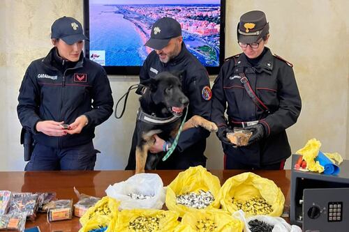 Ostia: sequestrato il carico di droga per le feste. Nove arresti e sedici denunce