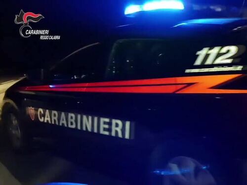 'Ndrangheta, favorivano la latitanza dei boss e trafficavano droga e armi: 14 arresti